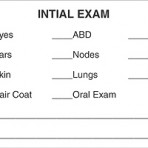Item# V-AN305  ‘Initial Exam Label’
