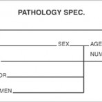 Item# V-LS120  ‘Pathology Spec.’ Label