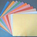 Item# 63-0078  14 pt. Colored File Folders