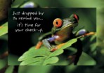 Item# RC121  Frog Checkup Recall Postcard