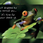 Item# RC121  Frog Checkup Recall Postcard