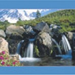 Item# RC130  Waterfall Recall Card