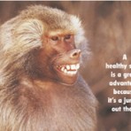 Item# RC145  Monkey Smile Dental Card