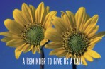 Item# RC155  Sunflower Reminder Card