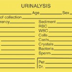 Item# V-AN300  ‘Urinalysis Breed/Age/Date’ Label