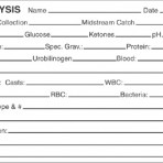 Item# V-AN436  ‘Urinalysis Collection Method’ Label