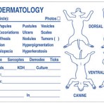Item# V-AN639  Dermatology Lesions Exam Label