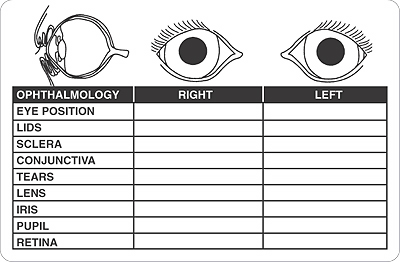 Item# V-AN649 'Opto Right/Left Eye' Label