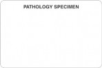 Item# V-LS401  ‘Pathology Specimen’ Label